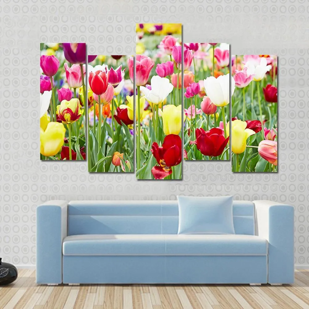 Blooming Tulips Canvas Wall Art