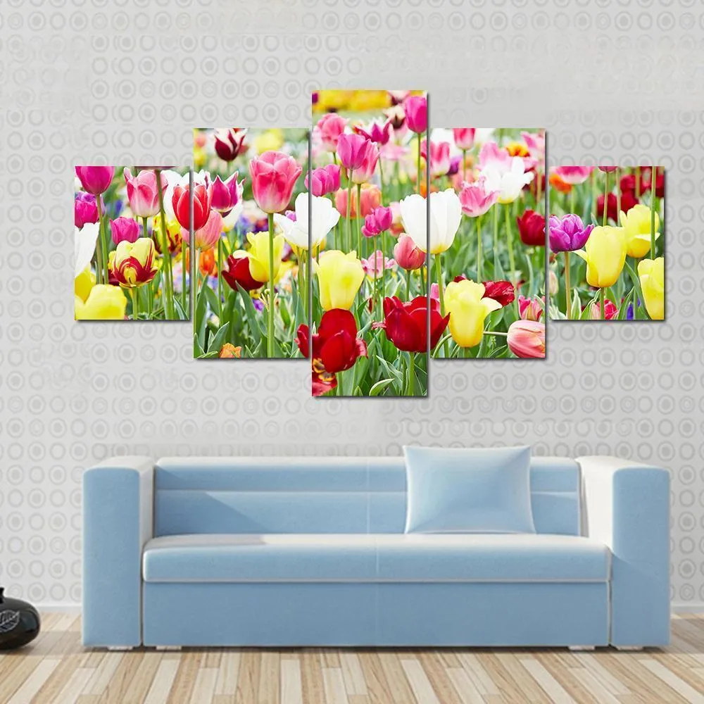Blooming Tulips Canvas Wall Art