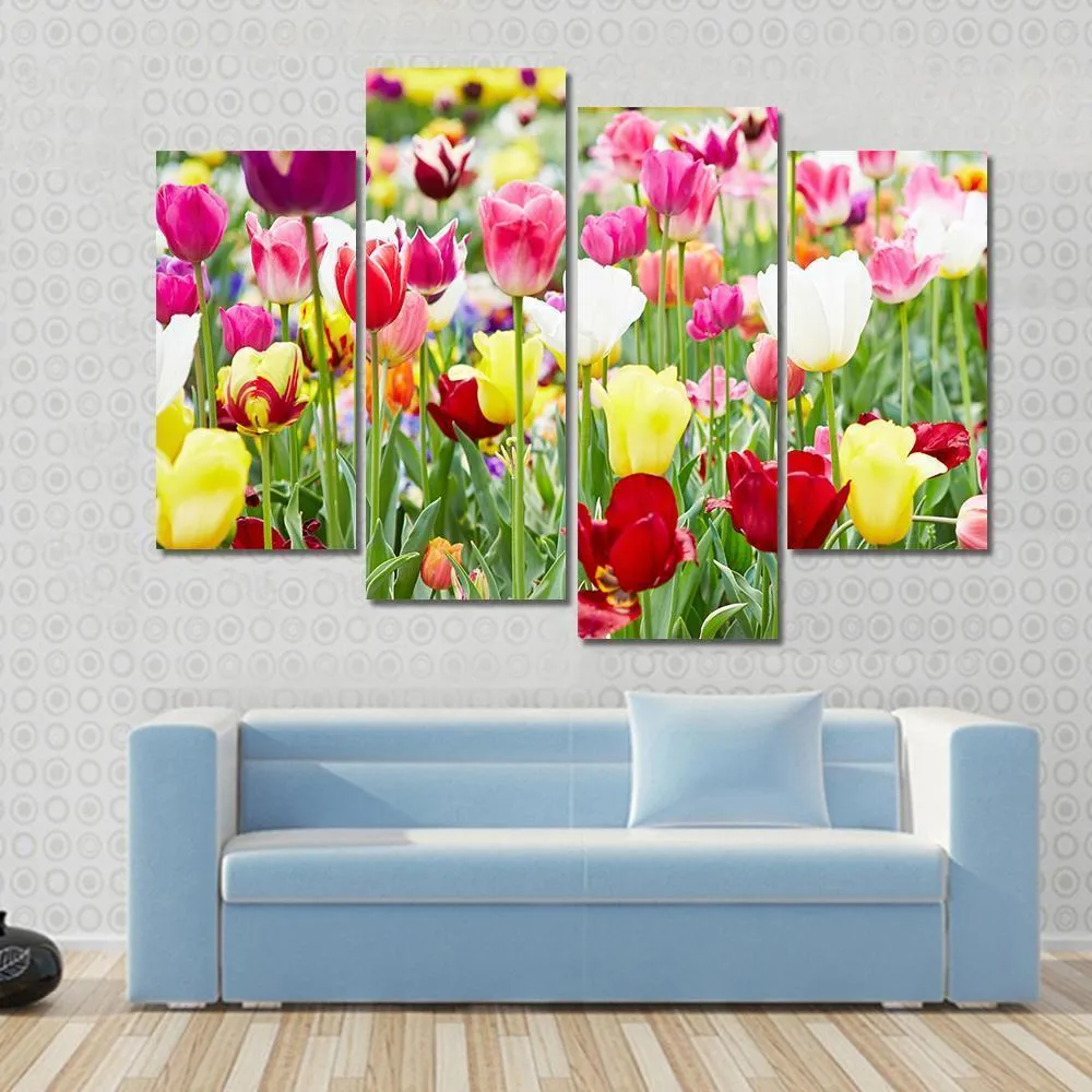 Blooming Tulips Canvas Wall Art