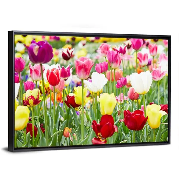 Blooming Tulips Canvas Wall Art