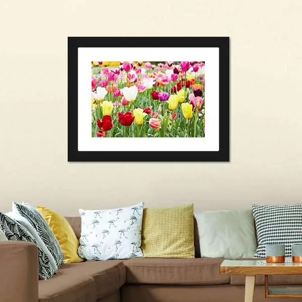 Blooming Tulips Canvas Wall Art
