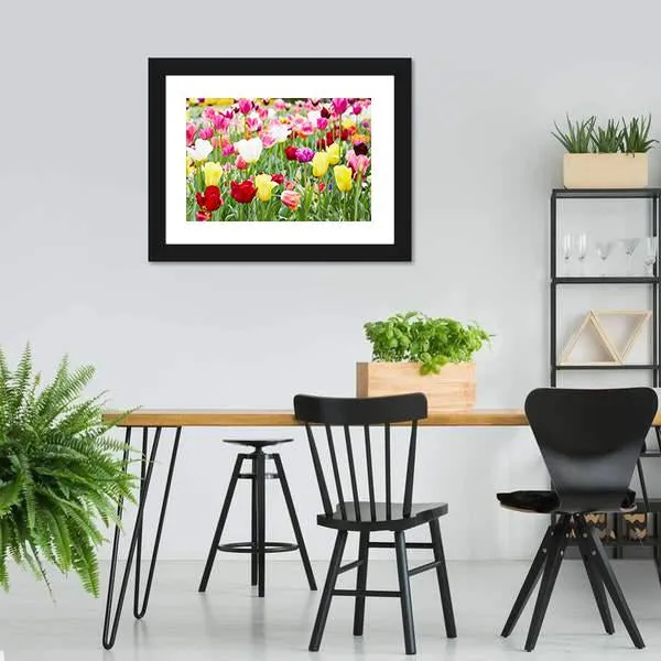 Blooming Tulips Canvas Wall Art