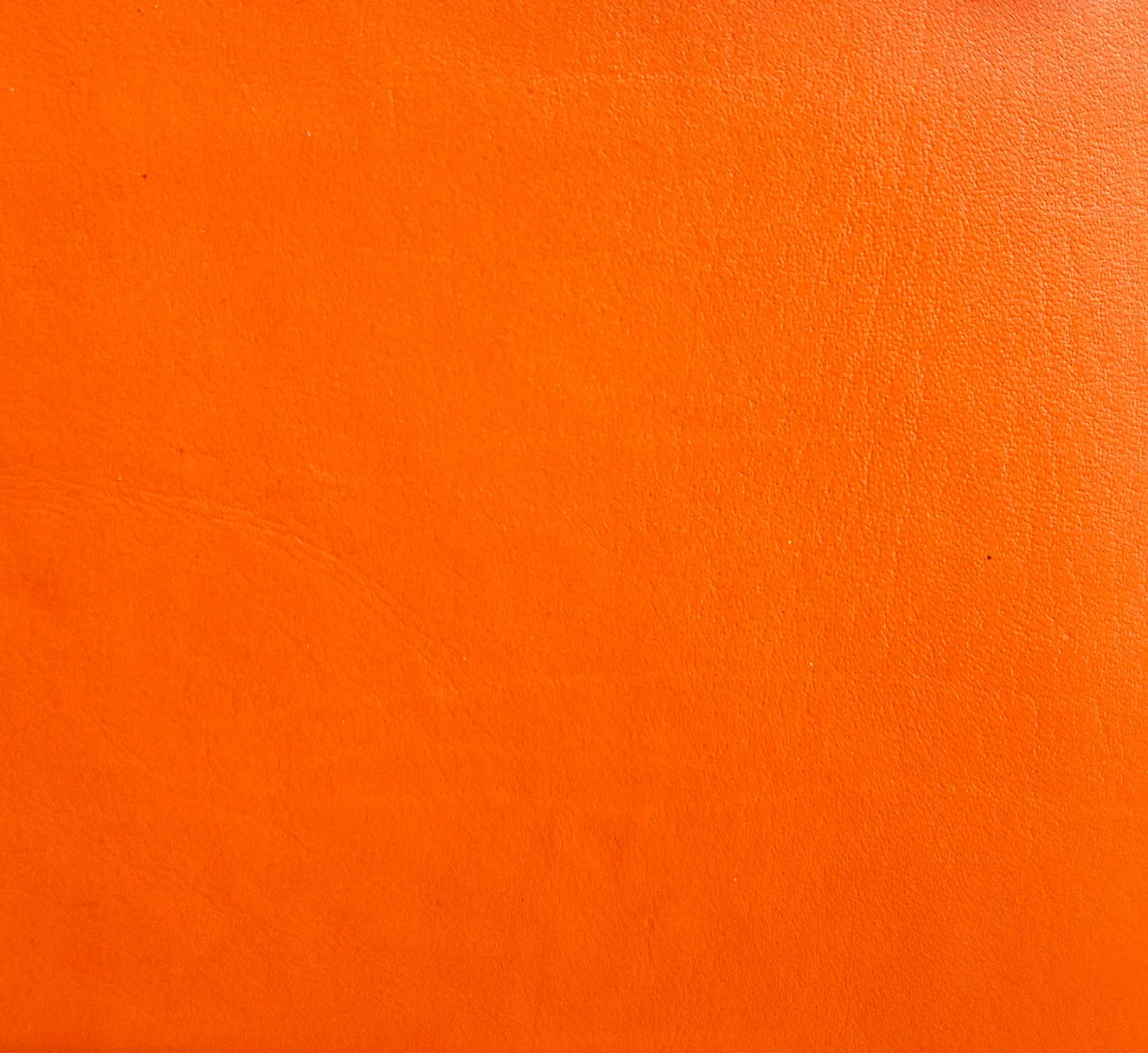 SADDLER PAULA Leather 12cm Trifold Purse - 8 Card Slots, ID Window and Rear Zip Pocket - RFID Protected