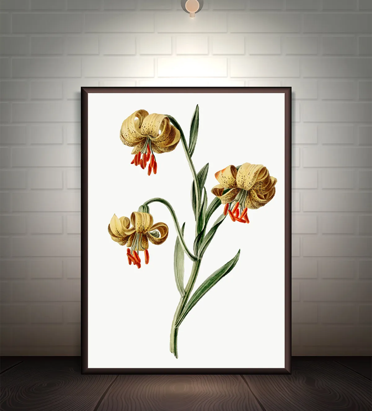 Vintage Garden Blooms: Trio of Classic Botanical Art